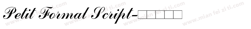 Petit Formal Script字体转换